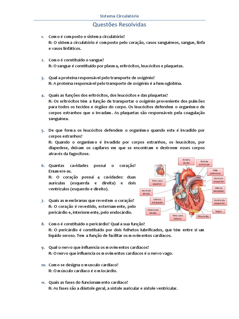 Sistema Circulatório - Questões Resolvidas | PDF | Veia | Coração