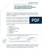 Pautas Proyecto Acreditacion PDF