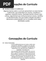 NIII_concepcoes de curriculo.pdf
