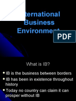 International Business Environment