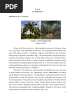 Download Kelapa sawit by Dimas Dimz Oding SN222766868 doc pdf
