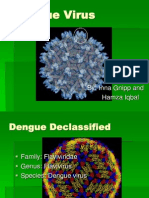 Dengue Virus