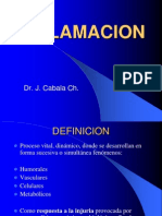 5-inflamacion2010-100724180211-phpapp01