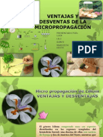 Ventajas y Desventas de La Micropropagación 5