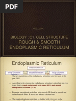 SER vs RER: Functions and Differences | PDF | Endoplasmic Reticulum ...