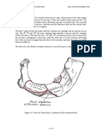 Observation and Analysis Method of Human Bones (Page31-41)