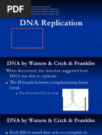 DNA Replication