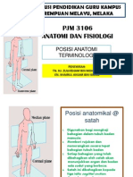 ANATOMI DAN FISIOLOGI: Satah