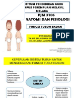 Presentation1 Fungsi Badan