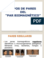 B - Tipos de Pares y Especiales 2009 in