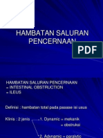 Hambatan Saluran Pencernaan