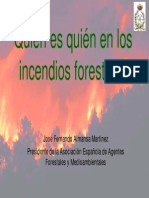 Quién Es Quién en Los Incendios Forestales