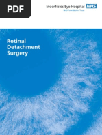 MEH Leaflet Retinal 269490