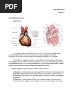 Download pbl kardio sk 1 by serafajarina SN222855872 doc pdf