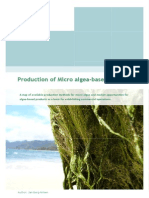 Production of Micro Algea-Based Products: August 2006
