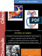 Sistema circulatorio.pdf