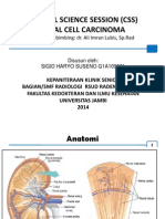 Clinical Science Session (CSS) Renal Cell Carcinoma: Dosen Pembimbing: Dr. Ali Imran Lubis, SP - Rad