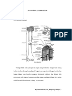 34822066-Patofisiologi-Fraktur