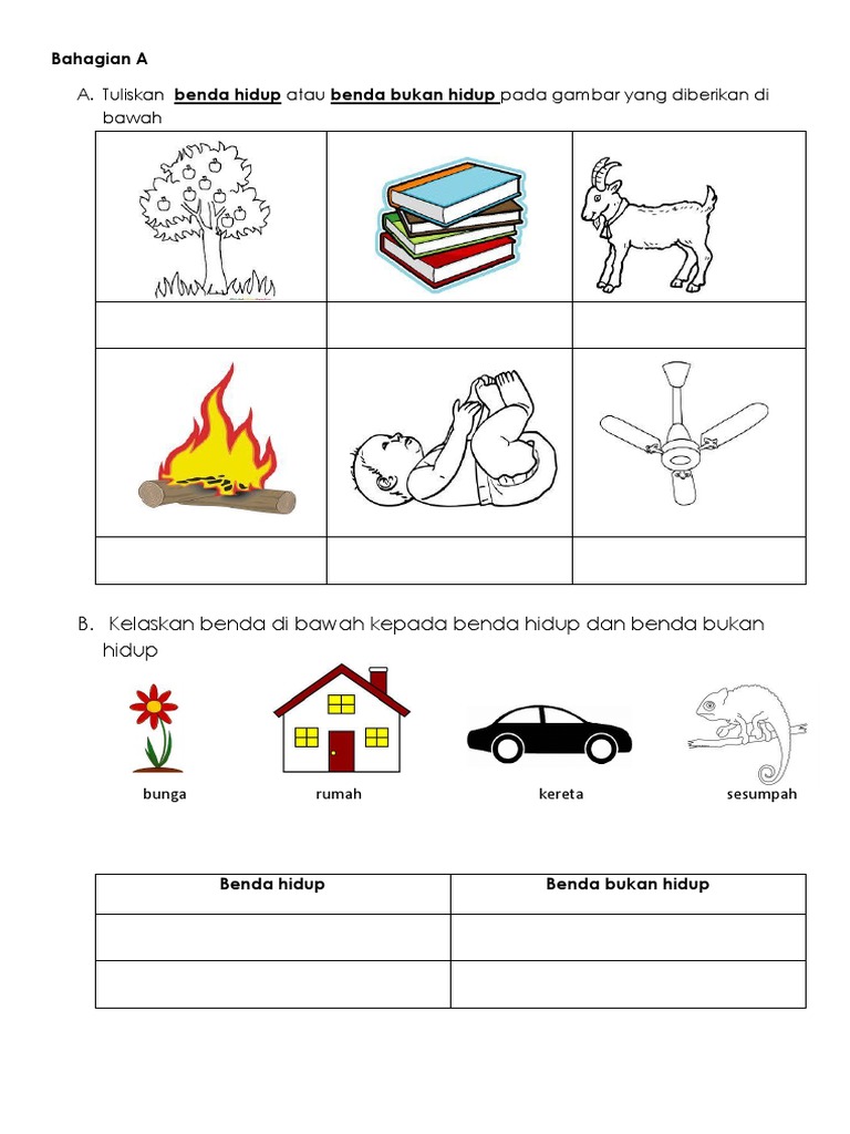 Soalan Ujian Dst Thn1