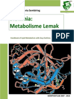 metabolisme lemak