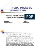 Copy of Tastatura, Mouse-ul Şi Monitorul