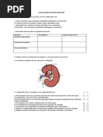 Evaluacion Excrecion