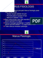 Slide Pleno Ikterus Herig