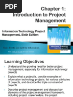 Information Technology Project Management