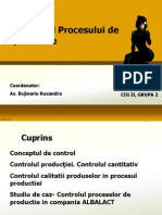 Proiect Managementul productiei
