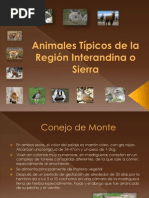 Animal Est Pi Cos Del a Sierra