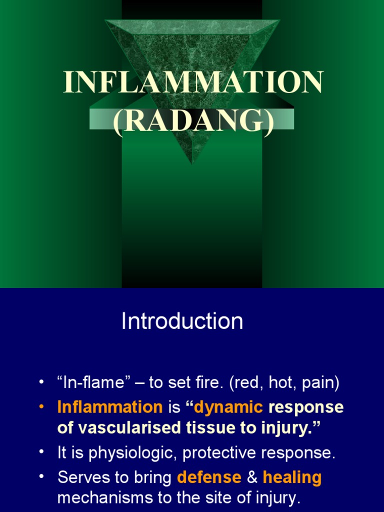 Understanding Inflammation Mechanisms | PDF