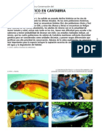 01_GR_02_salmon_atlantico.pdf