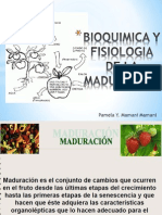 Bioquimica y Fisiologia de La Maduracion