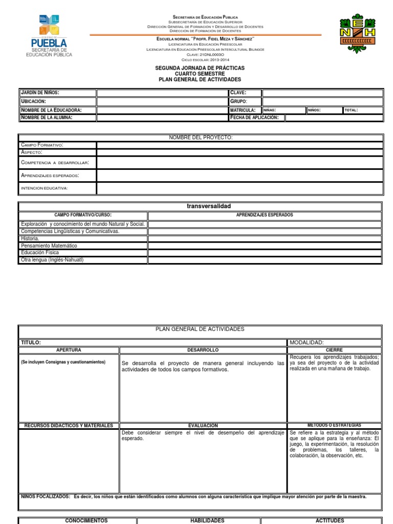 Formatos para La Planeacion | PDF