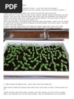 Download BertanamMelonSistemFertigasibyGadingDatuSN223004589 doc pdf