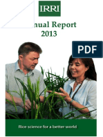 IRRI Annual Report 2013 