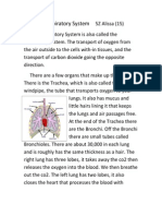 5z-15-Alissa-Respiratory System Report