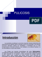 PULICOSIS.ppt