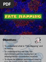 Fate Mapping