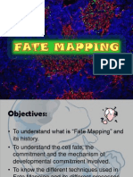 Fate Mapping