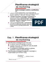 Planul Strategic de Marketing - Sinteza