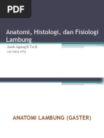 Download Anatomi Histologi Dan Fisiologi Lambung by anakagungtri SN223086323 doc pdf