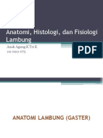 Anatomi, Histologi, Dan Fisiologi Lambung