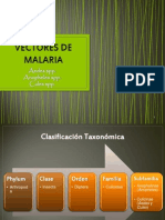 4. Vectores de Malaria