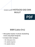 Anatomi Histologi Gigi Dan Mulut