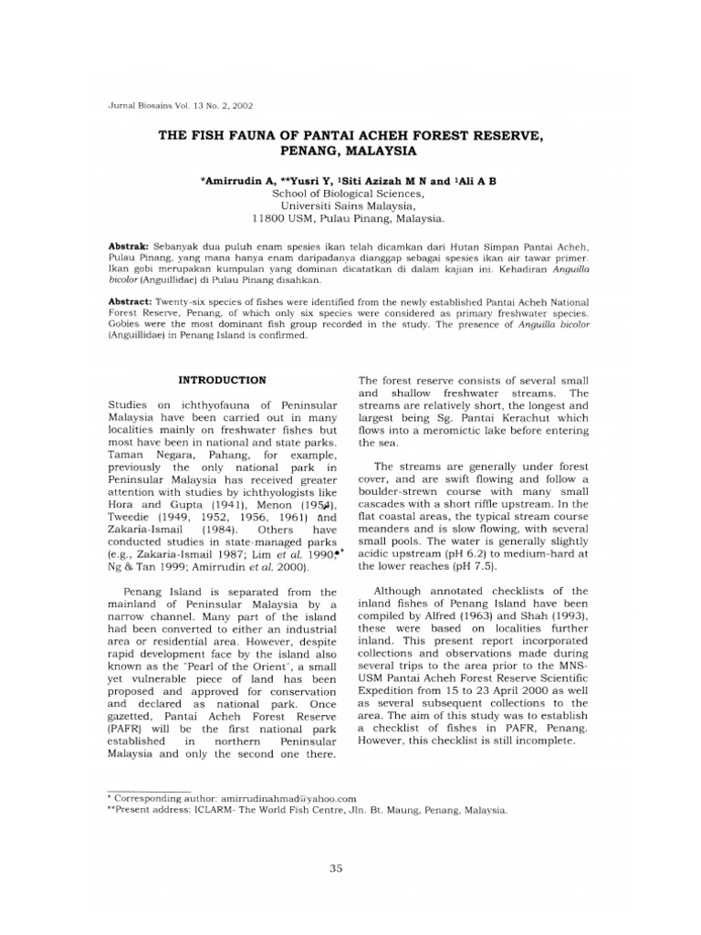 Fish Fauna Pantai Acheh Penang Malaysia