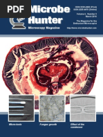 Microbe Hunter Marzo