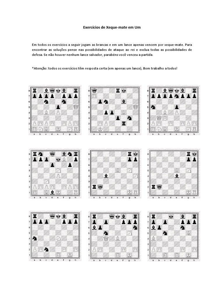 Xeque-Mate Meu Primeiro Livro De Xadrez