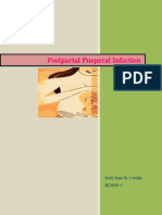 Postpartal Pueperal Infection: Irish Jane B. Cubillo Iii Bsn-1