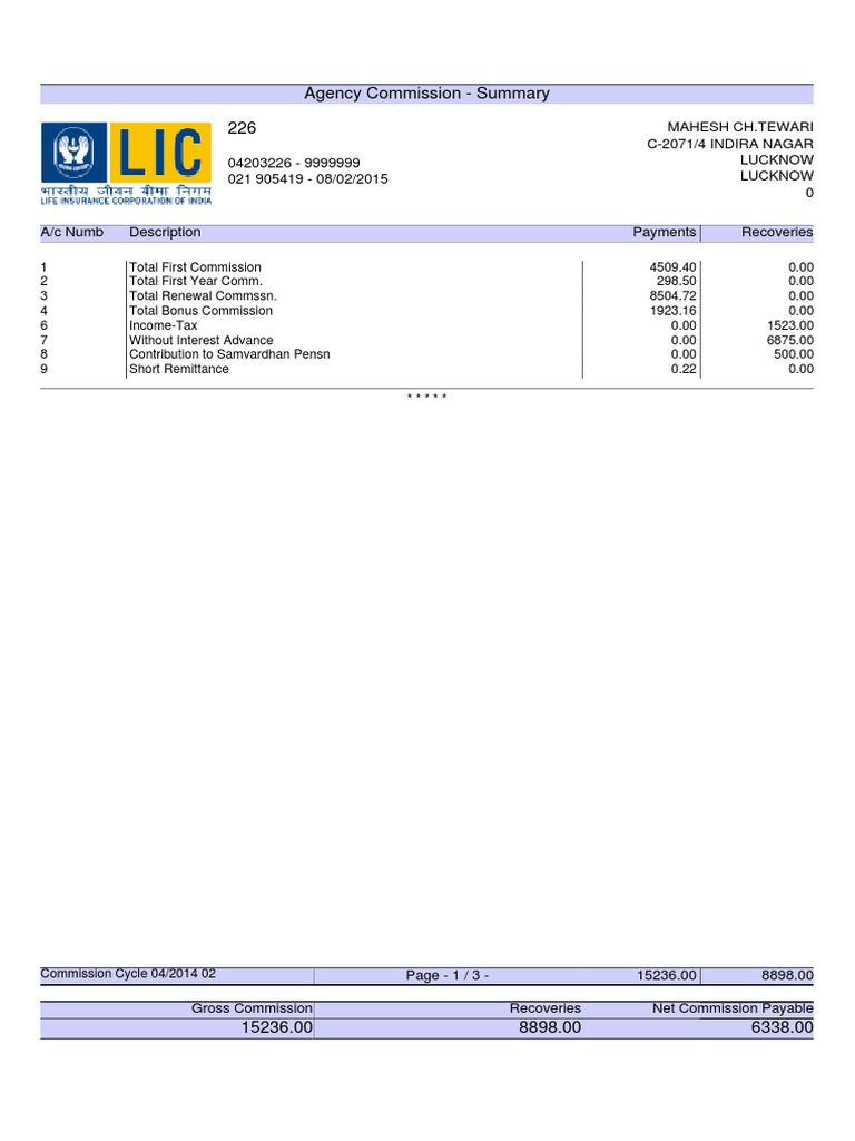 Agency Commission Summary Report | PDF | Finance & Money Management